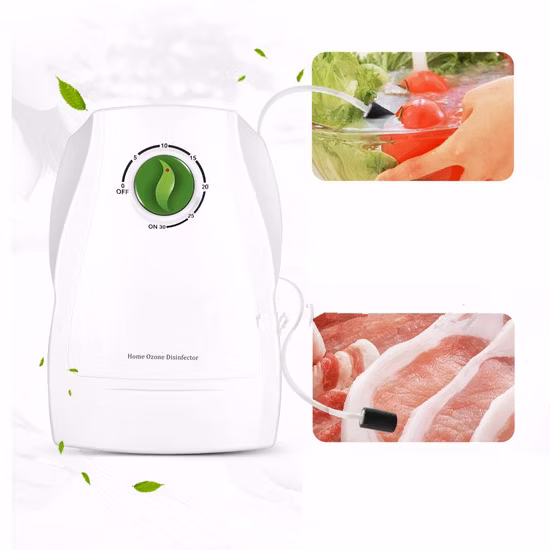 300mg/H Timer Control Ozone Generator Air and Water Purifier for Vegetables and Fruit